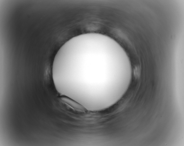 X0000088051299200706011335