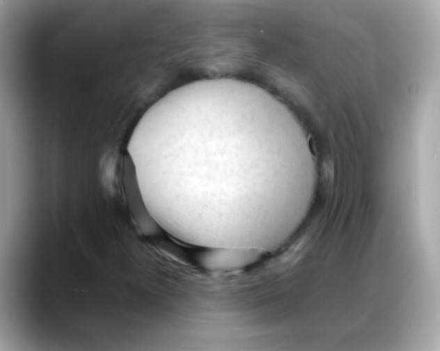 X0000088051300200706011335
