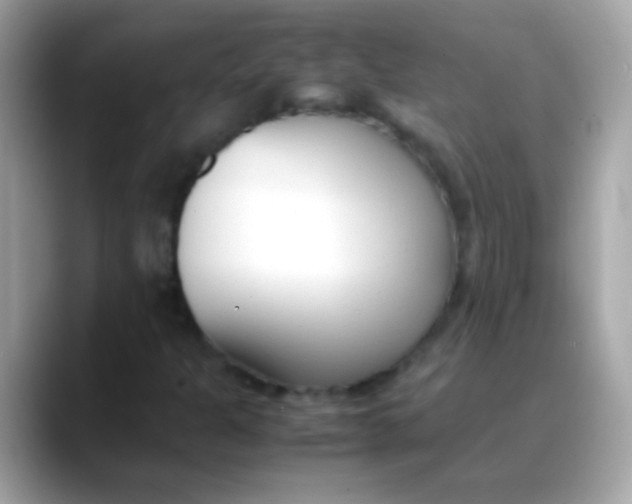 X0000088051301200706011335