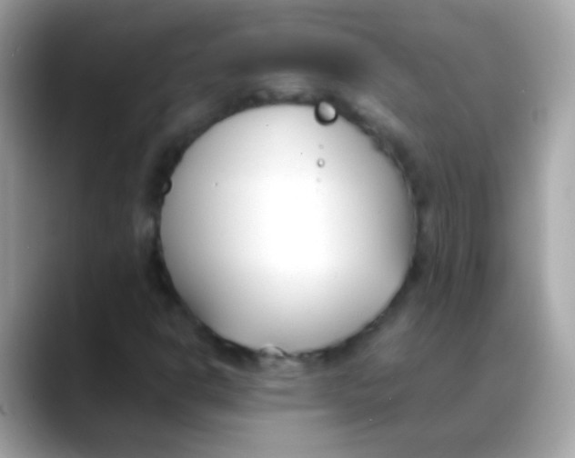 X0000088051302200706011335