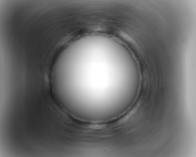 X0000088051305200706011335