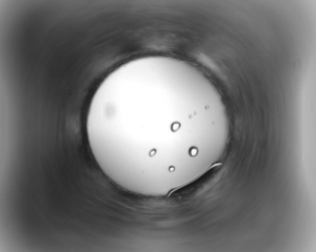 X0000088051307200706011335