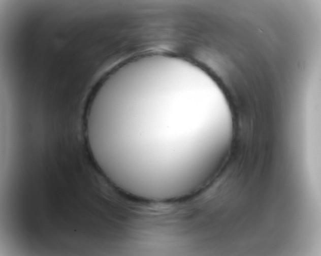 X0000088051308200706011335