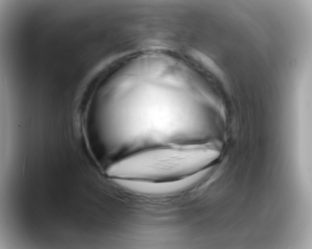 X0000088051310200706011335