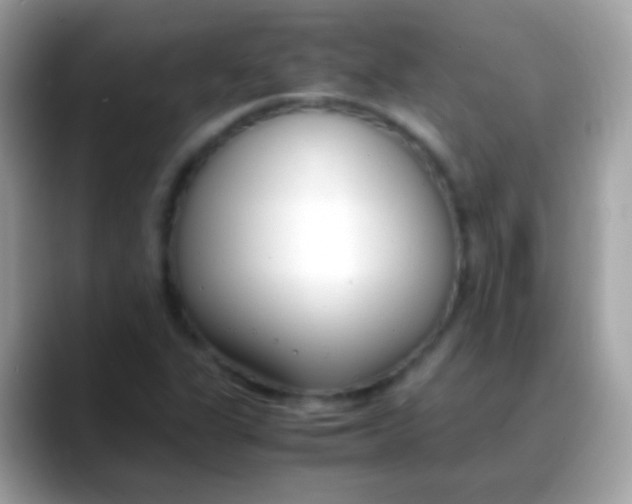 X0000088051311200706011335