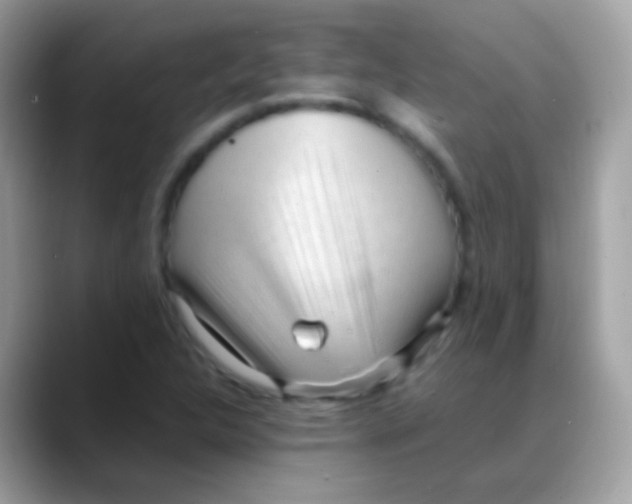 X0000088051312200706011335