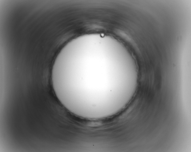 X0000088051313200706011335