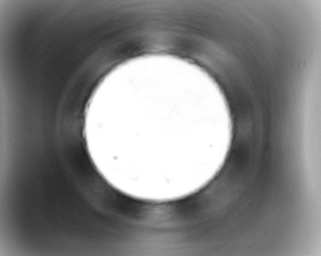 X0000088051314200706011335