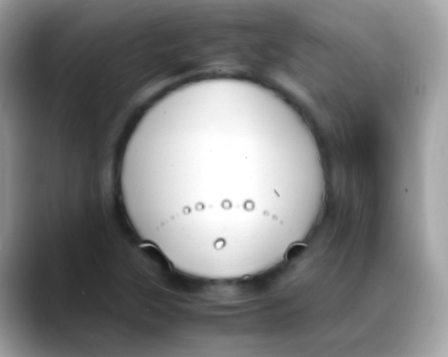 X0000088051315200706011335