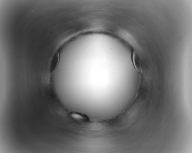 X0000088051316200706011335