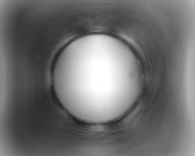 X0000088051317200706011335