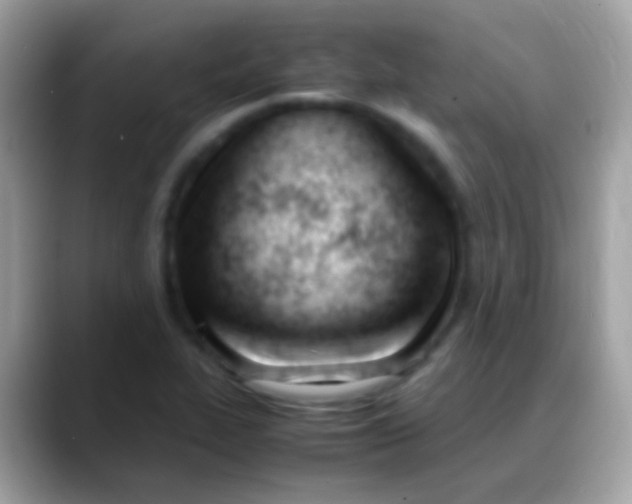 X0000088051319200706011335