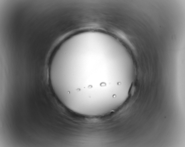 X0000088051320200706011335