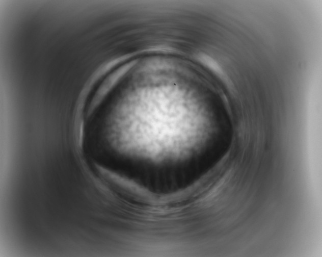 X0000088051323200706011335