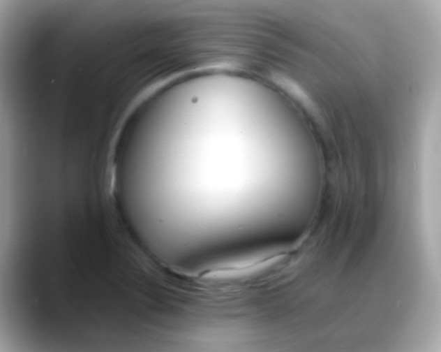 X0000088051324200706011335