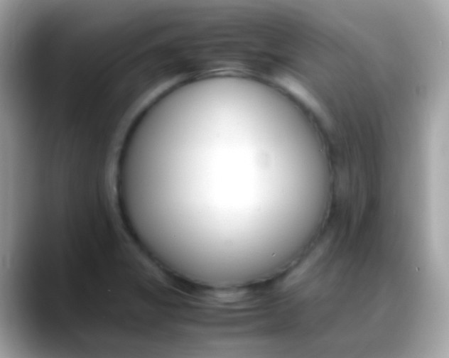 X0000088051325200706011335