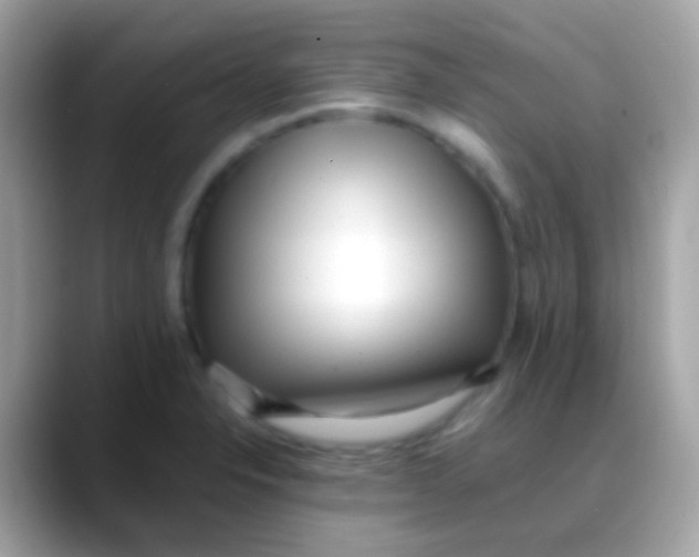 X0000088051326200706011335