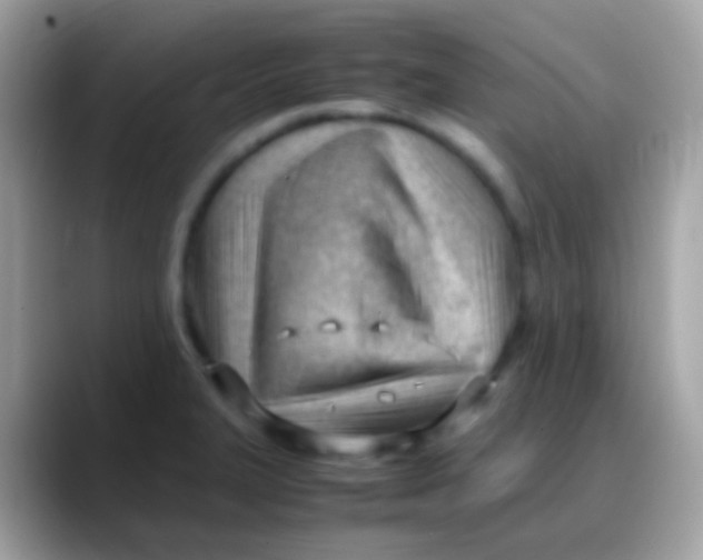 X0000088051327200706011335