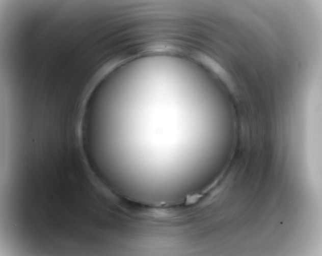 X0000088051330200706011335