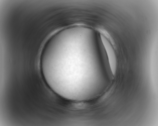 X0000088051331200706011335