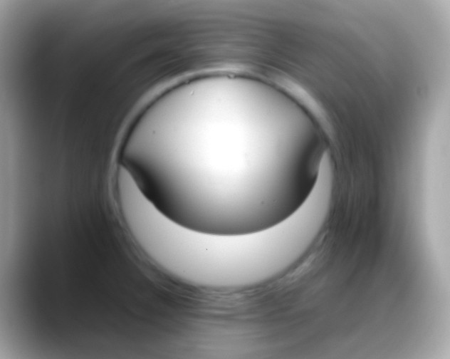 X0000088051332200706011335