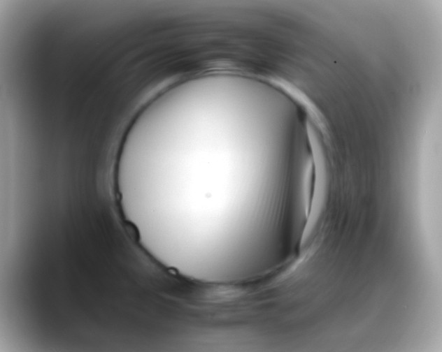 X0000088051333200706011335