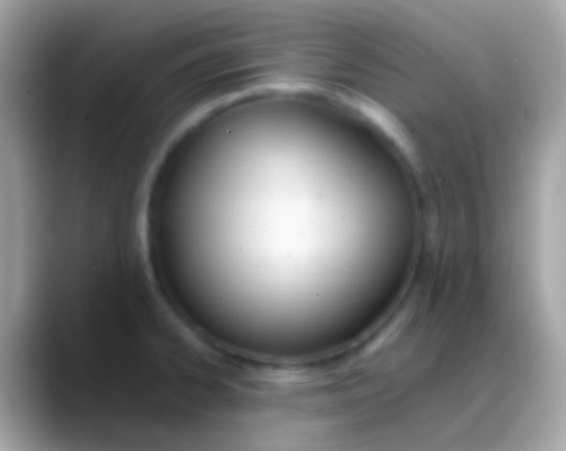 X0000088051334200706011335