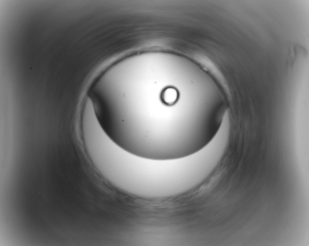 X0000088051336200706011335