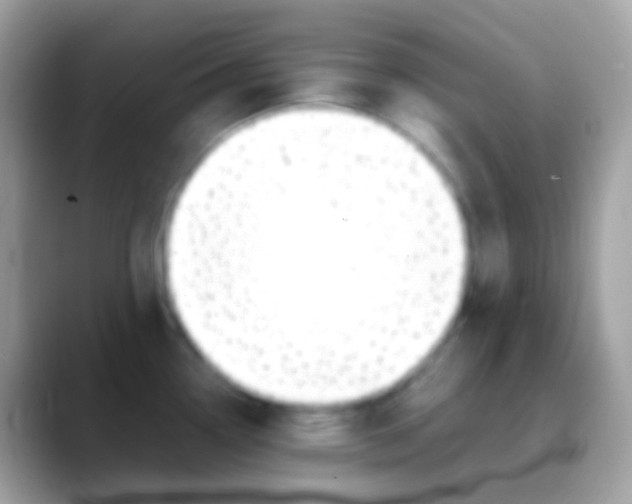 X0000088051338200706011335
