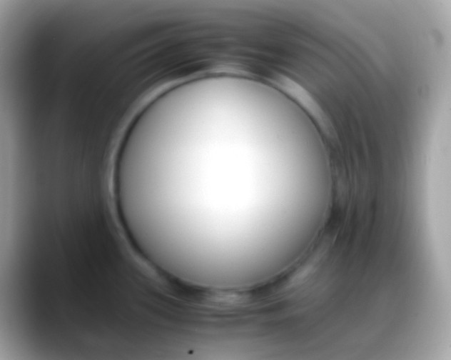 X0000088051339200706011335
