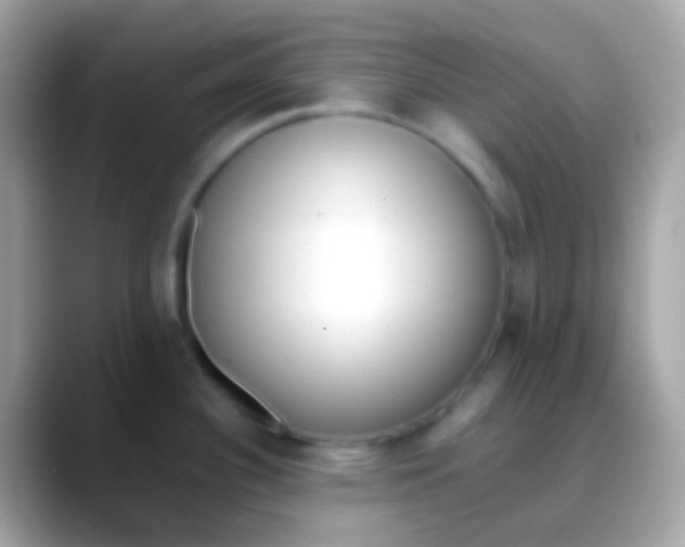 X0000088051340200706011335