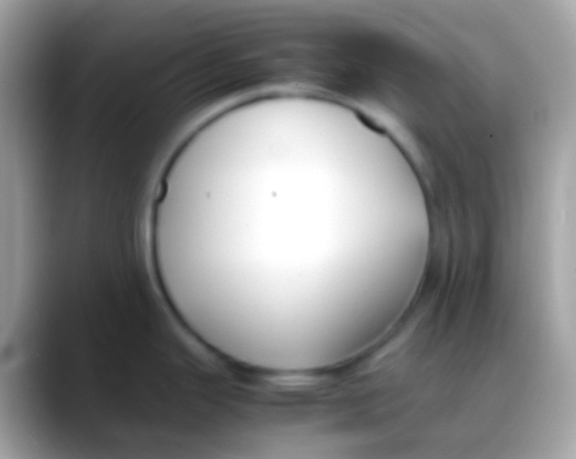 X0000088051343200706011335