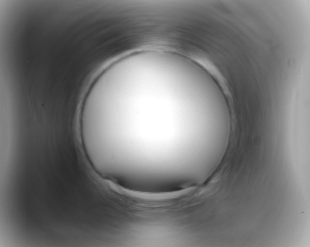 X0000088051344200706011335