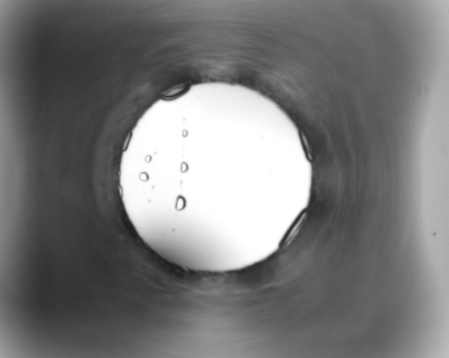 X0000088051345200706011335