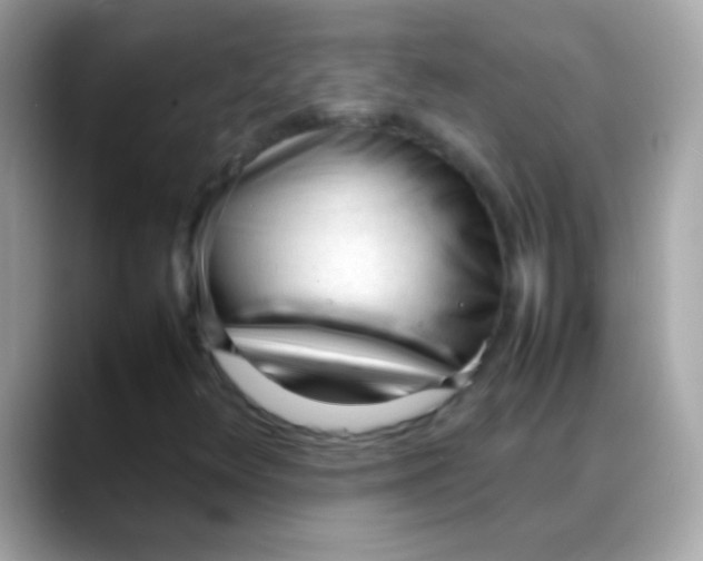 X0000088051348200706011334