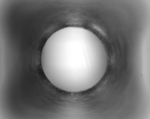 X0000088051350200706011334