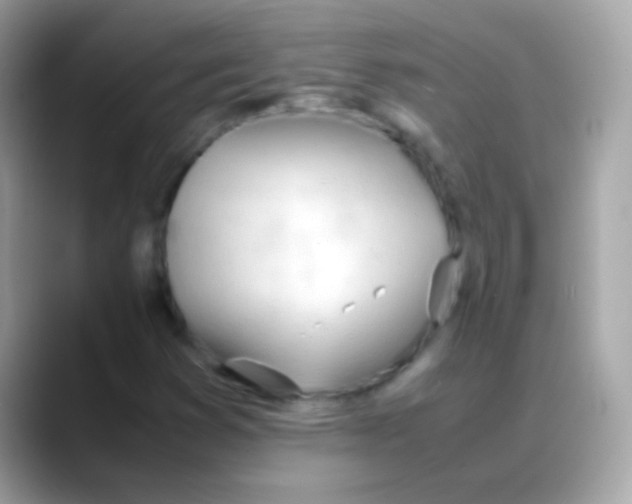 X0000088051353200706011334