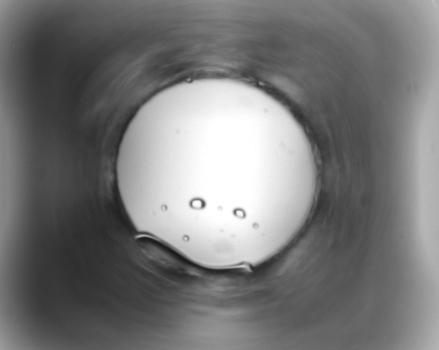 X0000088051355200706011334