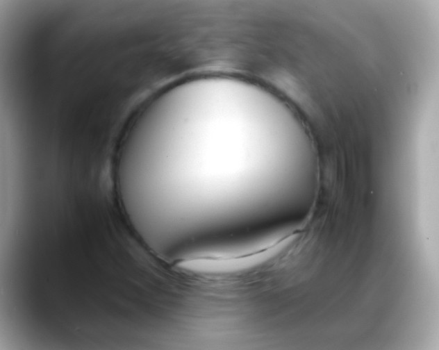 X0000088051356200706011334