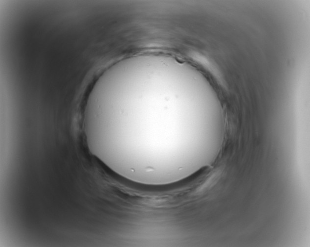 X0000088051357200706011334