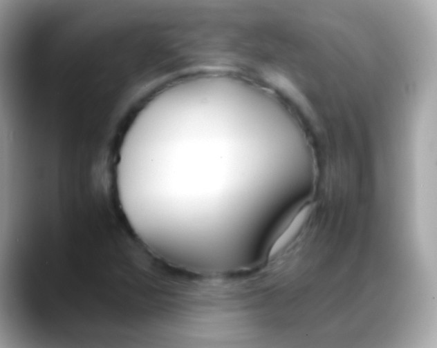 X0000088051360200706011334