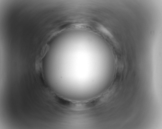 X0000088051361200706011334