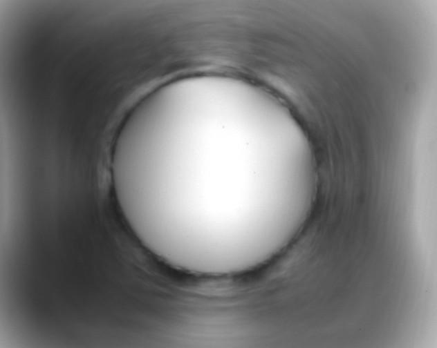 X0000088051363200706011334