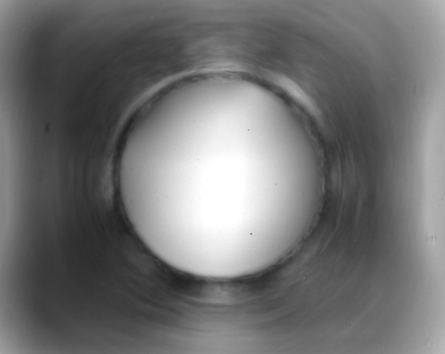X0000088051364200706011334