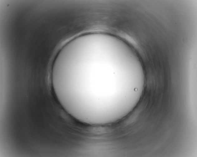 X0000088051366200706011334