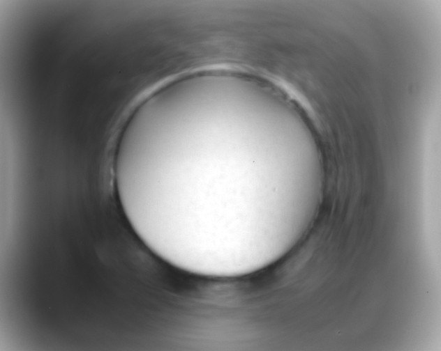 X0000088051367200706011334