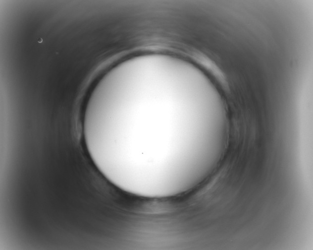 X0000088051368200706011334