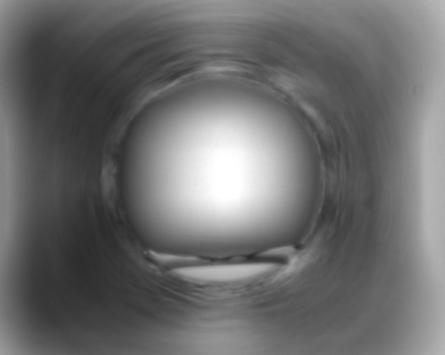 X0000088051369200706011334