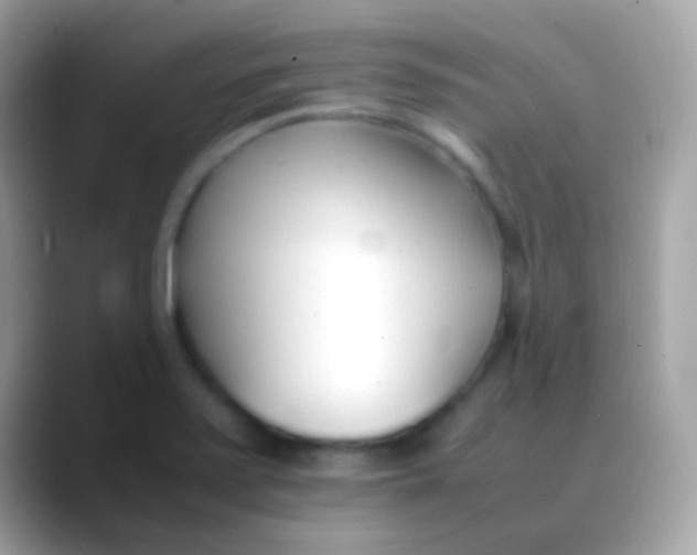 X0000088051371200706011334