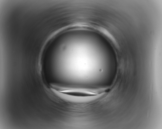 X0000088051372200706011334